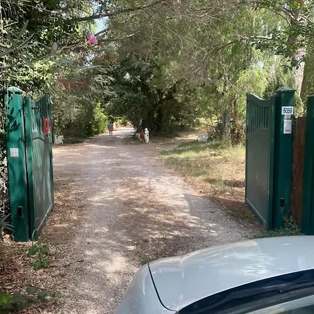 Oda ve Kahvaltı Feerie *